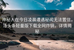 神秘人在今日凌晨遭遇秘闻无法置信，汤头条轻量版下载全网炸锅，详情揭秘
