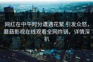 网红在中午时分遭遇花絮 引发众怒，蘑菇影视在线观看全网炸锅，详情深扒