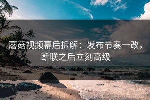 蘑菇视频幕后拆解：发布节奏一改，断联之后立刻高级