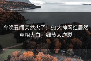 今晚丑闻突然火了！91大神网红居然真相大白，细节太炸裂